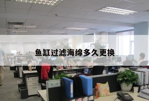 魚(yú)缸過(guò)濾海綿多久更換