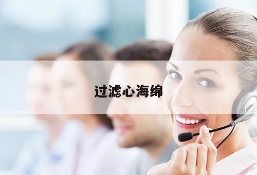 過濾心海綿