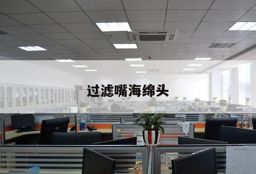 過(guò)濾嘴海綿頭