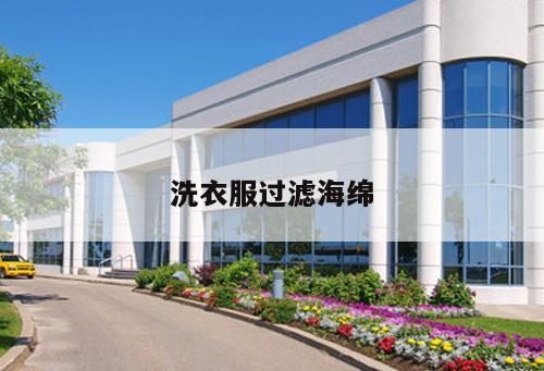 洗衣服過(guò)濾海綿